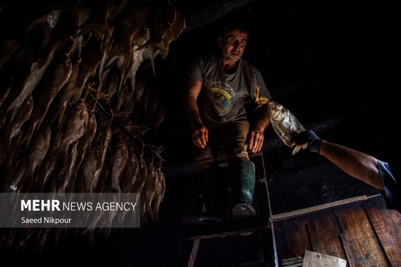 سنت دودی کردن ماهی در گیلان