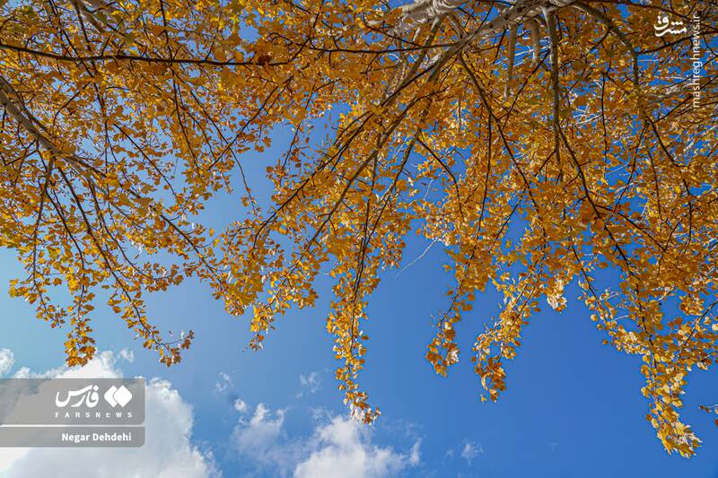  رخ‌نمایی پائیز در لرستان