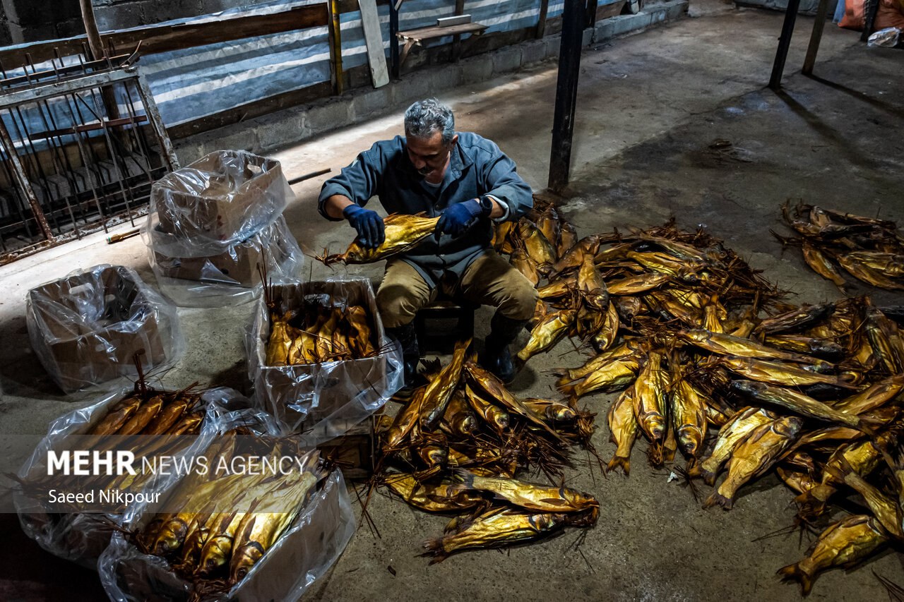 سنت دودی کردن ماهی در گیلان