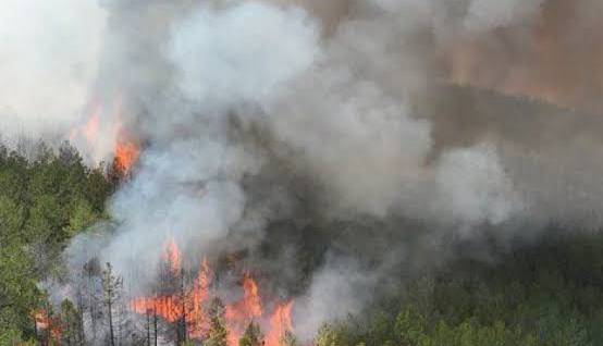 انجام ۶۰ سورتی پرواز برای اطفای حریق در الیت