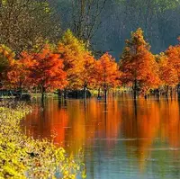 آبان نارنجی در دریاچه دوقلو‌ول آغوز