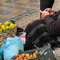 تصاویری که بوی شمال دارن !