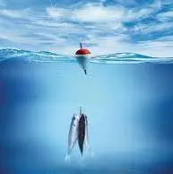 این ویدیو زندگی شما را تغییر میدهد ...