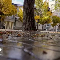  رخ‌نمایی پائیز در لرستان