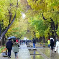 پائیزانه های چهار باغ