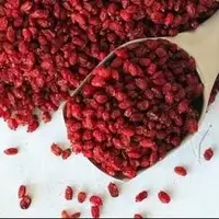 زرشک چگونه به تعادل صفرا و سلامت کبد کمک می کند؟