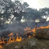 رئیس دادگستری مازندران: مدیران مقصر در مهار آتش‌سوزی جنگل‌های هیرکانی الیت مجازات می‌شوند