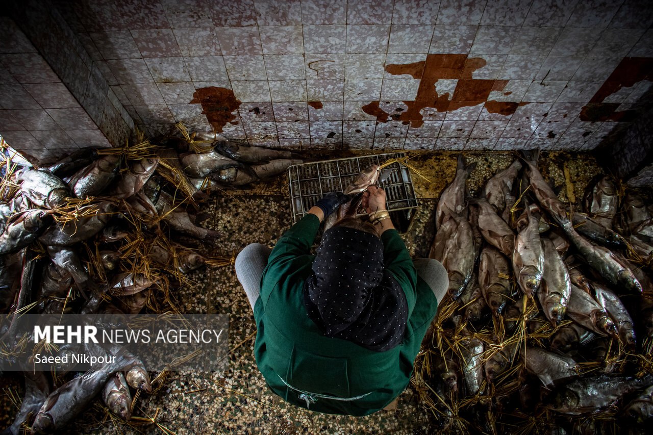 سنت دودی کردن ماهی در گیلان