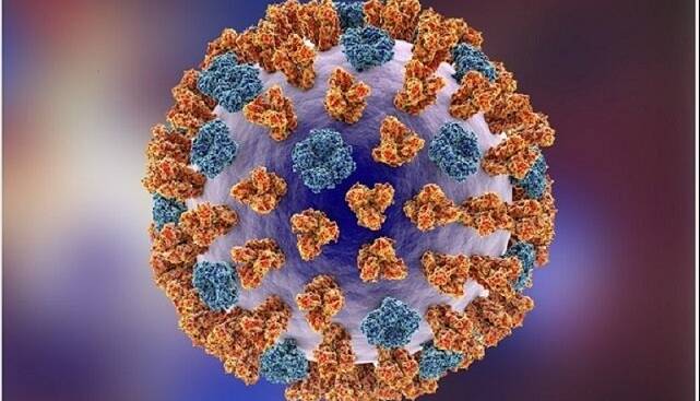 هشدار مقام‌های بهداشتی اروپا نسبت به شیوع آنفلوآنزا