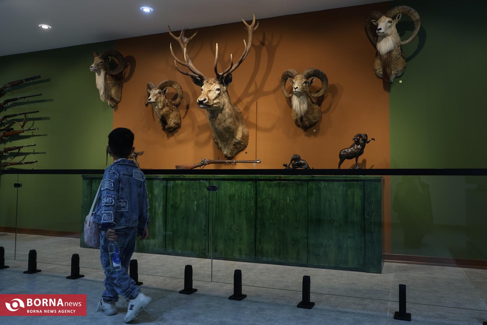 پردیس موزه ای رامسر