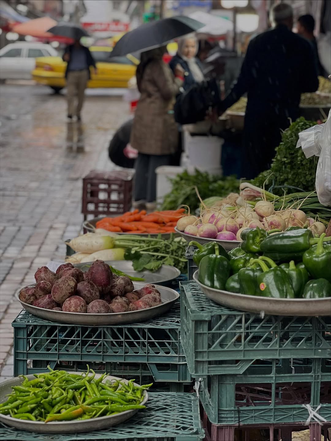 تصاویری که بوی شمال دارن !