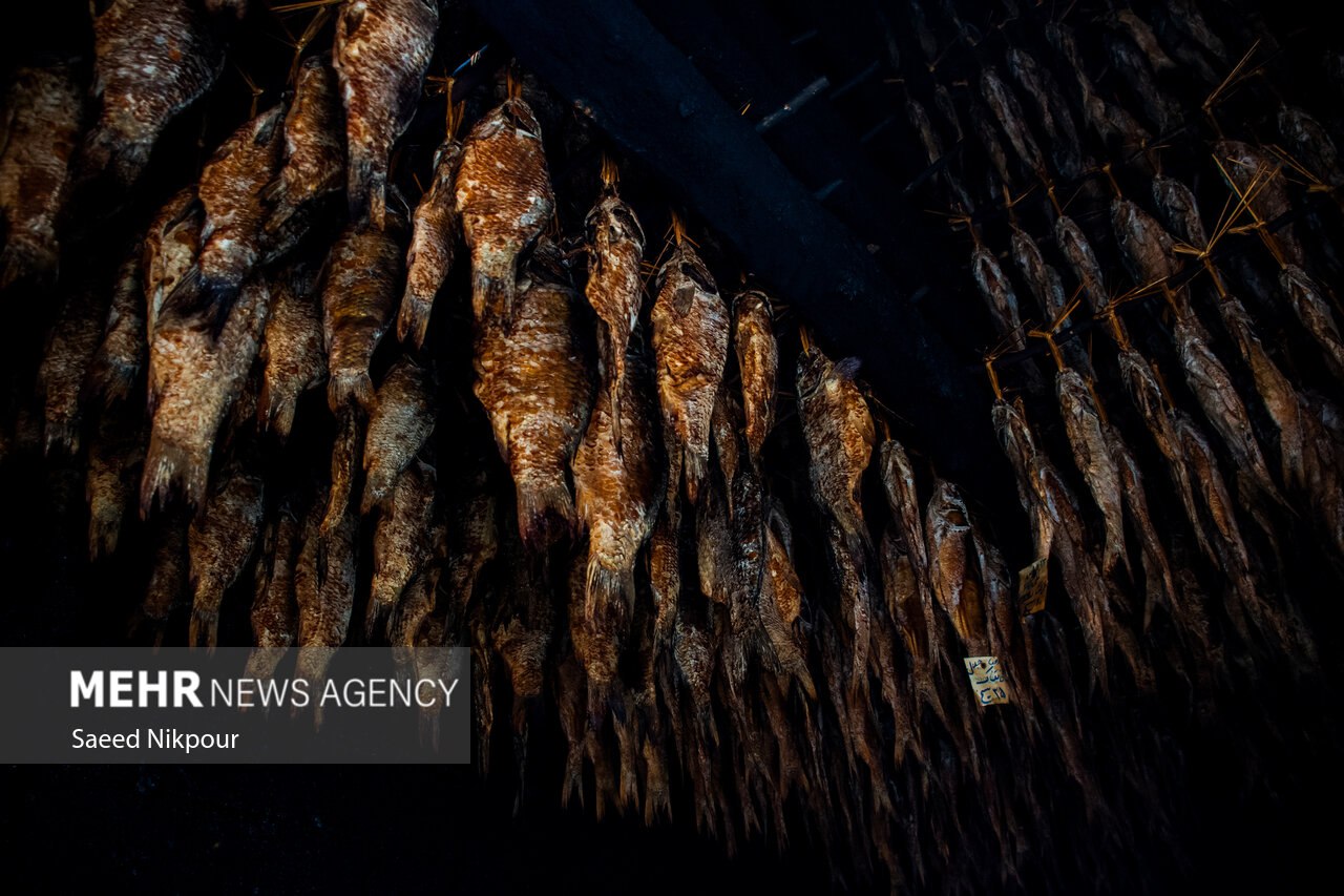 سنت دودی کردن ماهی در گیلان