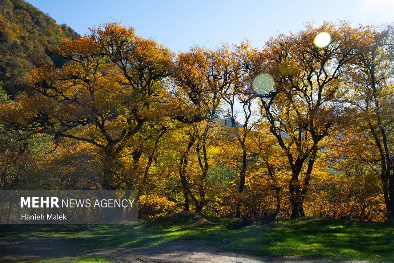جنگل پاییزی توسکستان گرگان