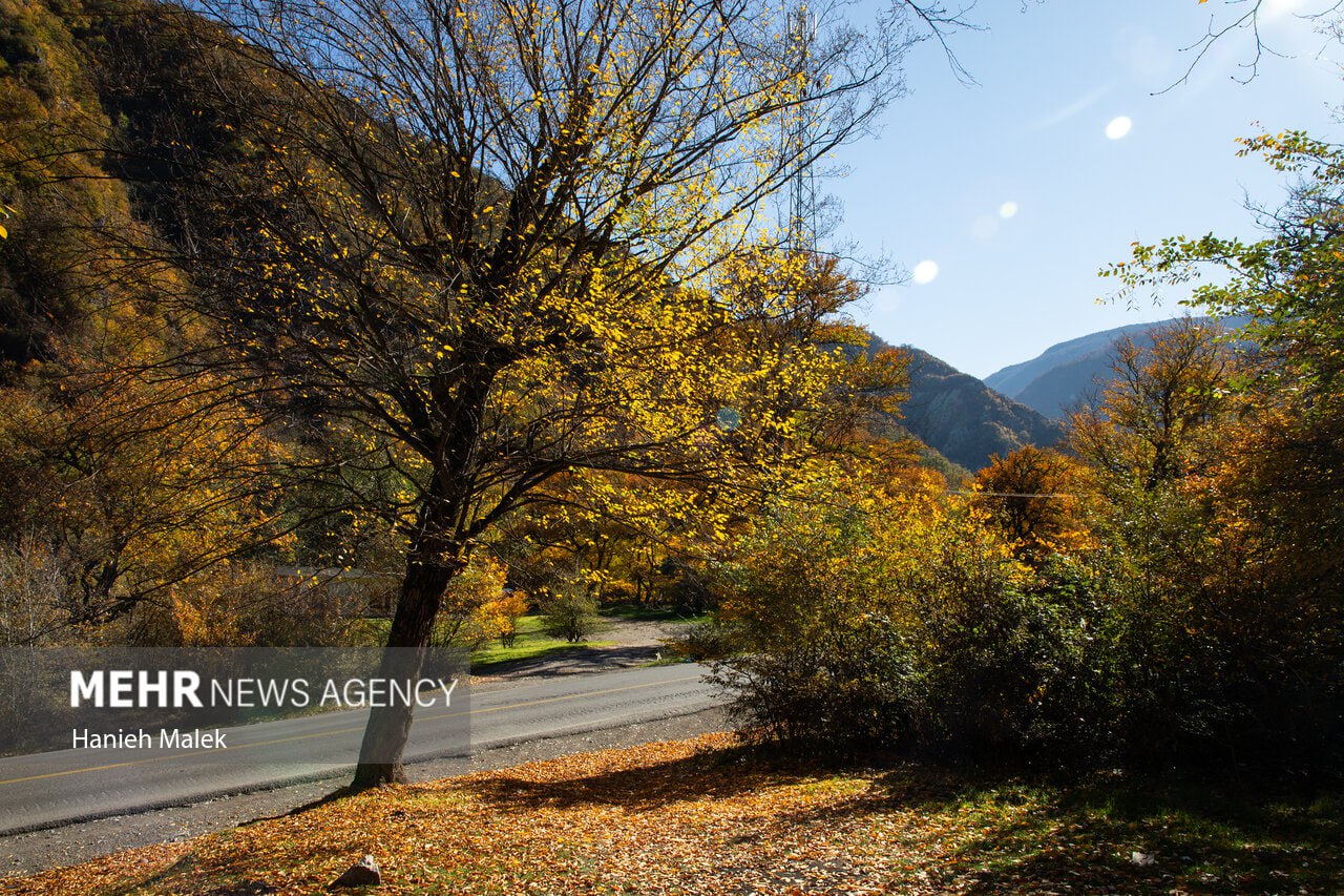 جنگل پاییزی توسکستان گرگان