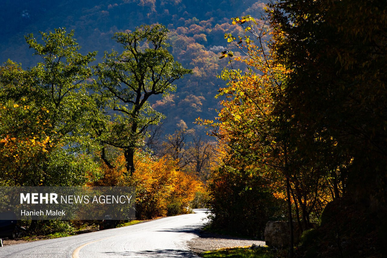 جنگل پاییزی توسکستان گرگان
