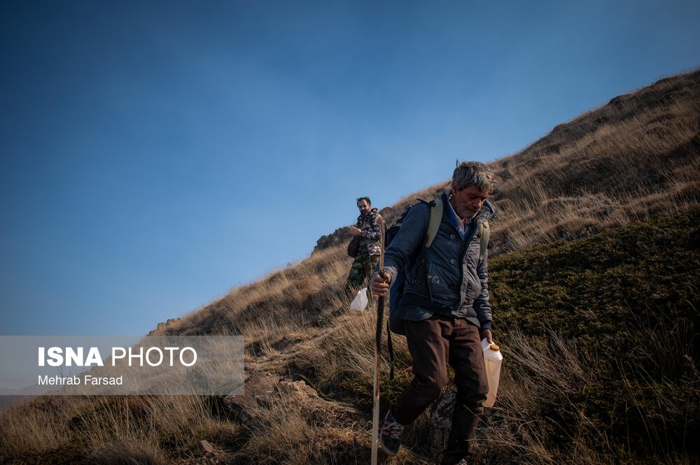 عکس/ عملیات مهار آتشسوزی مناطق کوهستانی روستاهای دلیر و الیت
