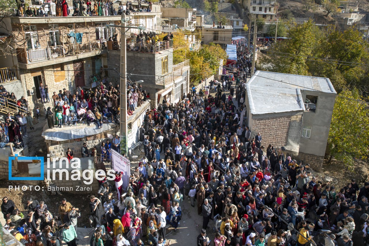 عکس/جشن شکرانه برداشت انار در روستای ساتیاری