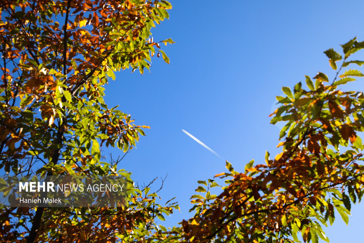 جنگل پاییزی توسکستان گرگان