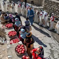 عکس/جشن شکرانه برداشت انار در روستای ساتیاری