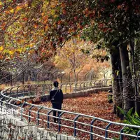 خبری از بارش باران در خراسان رضوی نیست!