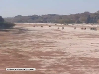 زاینده‌‌رود تبدیل به پیست اسب‌‌سواری شد