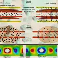 در نظر گرفتن رفتار رئولوژیکی خون برای ارزیابی آسیب به سلول‌های رگ