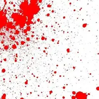 دستگیری یکی از متهمان حمله مرگبار به زوج سالخورده در اهر