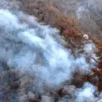 الیت، یکی از ارزشمندترین جنگل‌های ایران همچنان در آتش می سوزد!