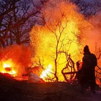 گریه‌های جنگلبانان برای سوختن جنگل‌های هیرکانی