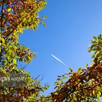 جنگل پاییزی توسکستان گرگان