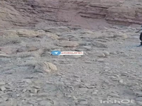 ثبت لحظاتی دیدنی از توله پلنگ منطقه حفاظت شده کوه بافق 