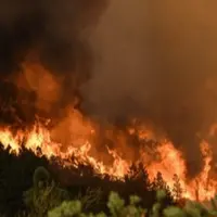 پای زمین‌خواران به آتش‌سوزی الیت باز شد