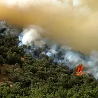 استاندار مازندران: آتش‌سوزی در حوزه جنوب و شرق جنگل‌های الیت مهار شد