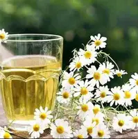 عوارض بانونه برای سالمندان   