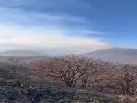 آتش‌سوزی در مراتع جنگلی جلفا