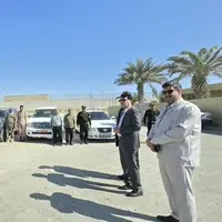 طرح جمع آوری شترهای سرگردان در شهرستان جاسک آغاز شد