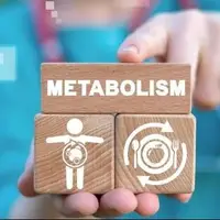 عوامل موثر بر سوخت‌وساز بدن
