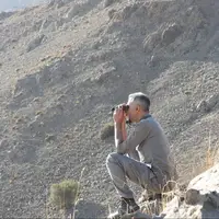 سرشماری حیات وحش در مناطق گرمسیری کهگیلویه و بویراحمد آغاز شد