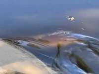 کمین تمساح با دهان باز در رودخانه