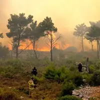 رئیس آتش‌نشانی کلاردشت: هیچ وقت این آتش اطفا نشده بود