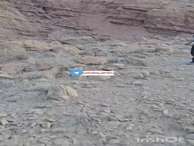 ثبت لحظاتی دیدنی از توله پلنگ منطقه حفاظت شده کوه بافق 