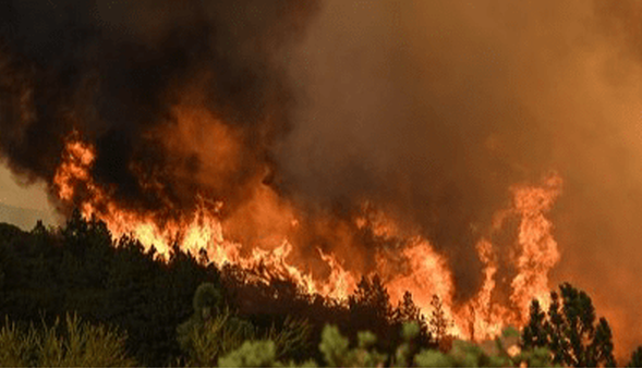 پای زمین‌خواران به آتش‌سوزی الیت باز شد