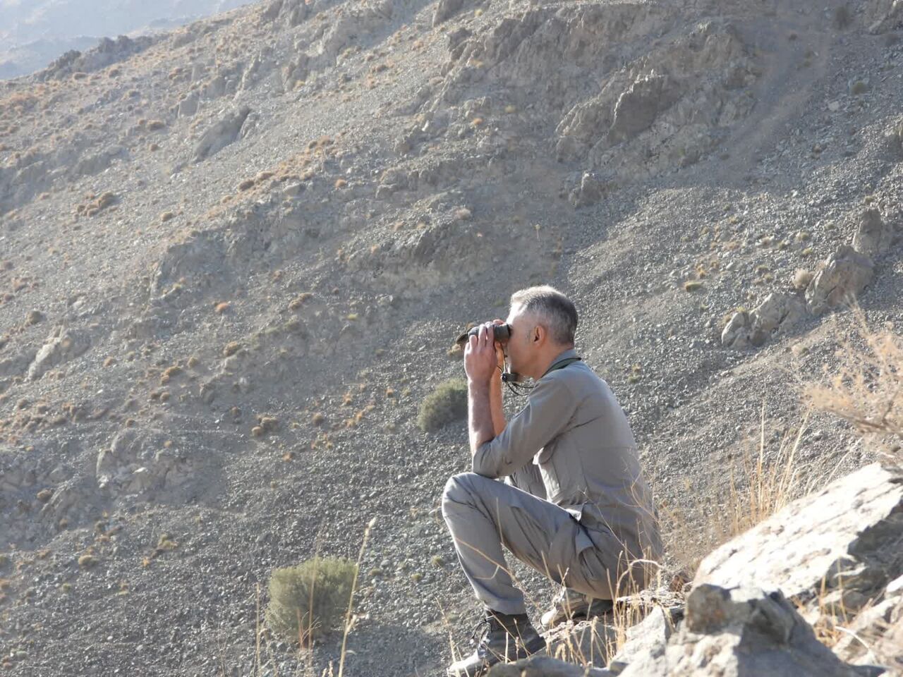 سرشماری حیات وحش در مناطق گرمسیری کهگیلویه و بویراحمد آغاز شد