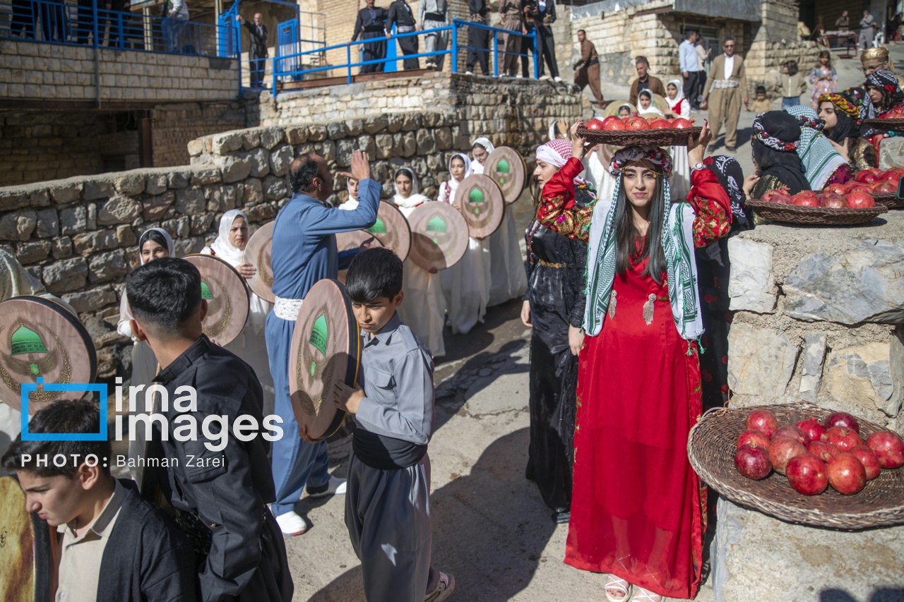 عکس/جشن شکرانه برداشت انار در روستای ساتیاری