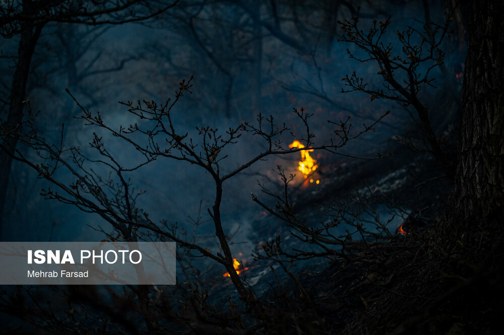 عکس/ عملیات مهار آتشسوزی مناطق کوهستانی روستاهای دلیر و الیت