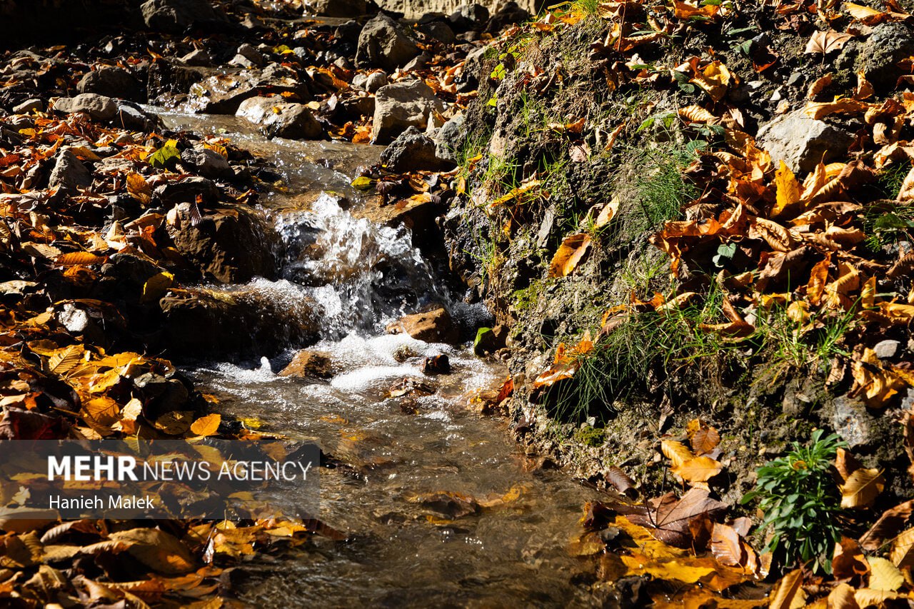 جنگل پاییزی توسکستان گرگان