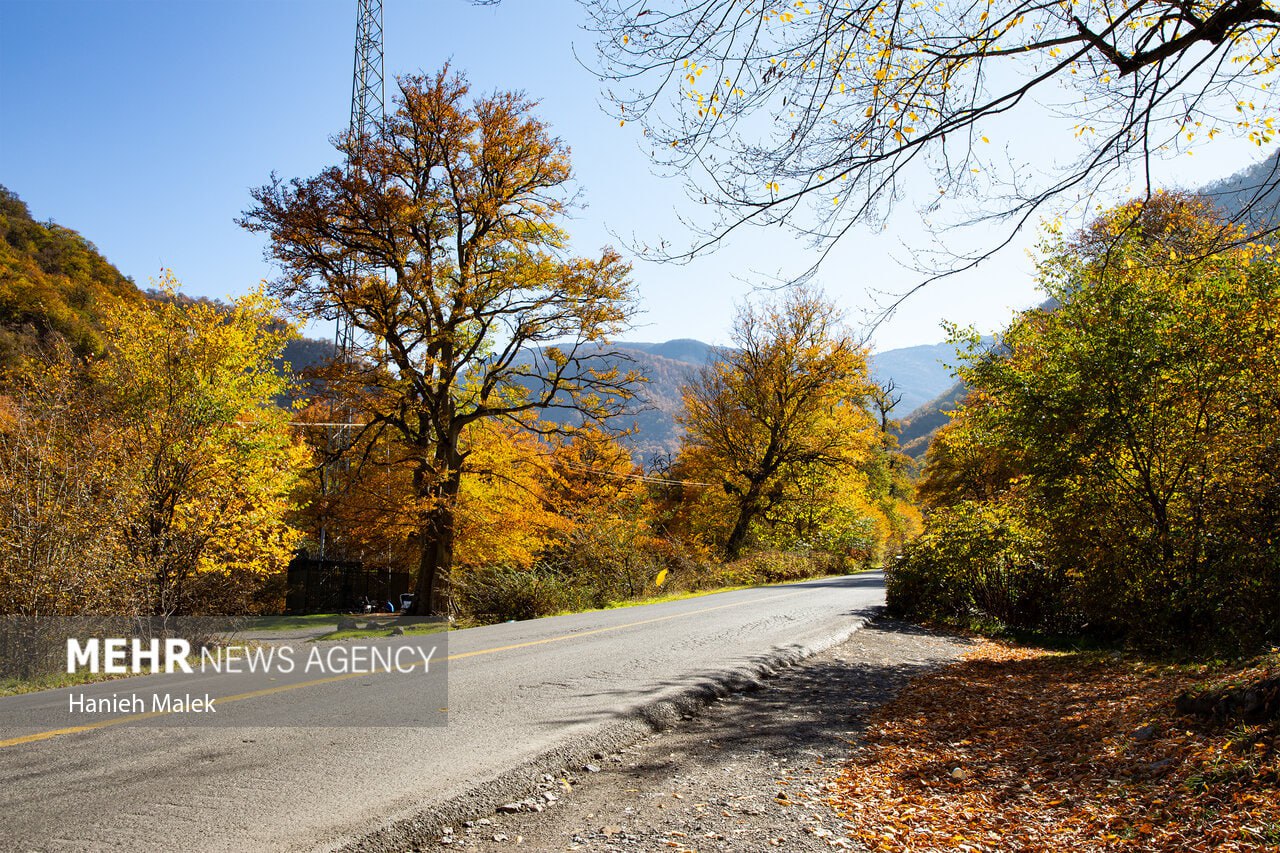 جنگل پاییزی توسکستان گرگان