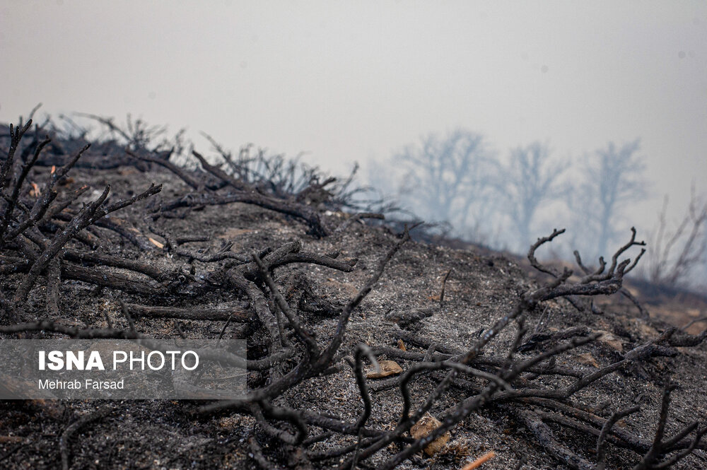 عکس/ عملیات مهار آتشسوزی مناطق کوهستانی روستاهای دلیر و الیت