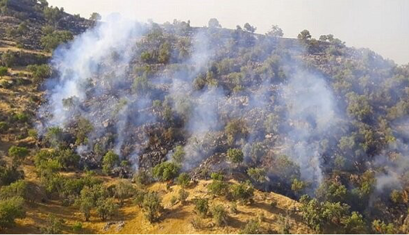 حریق ارتفاعات رادکان مهار شد