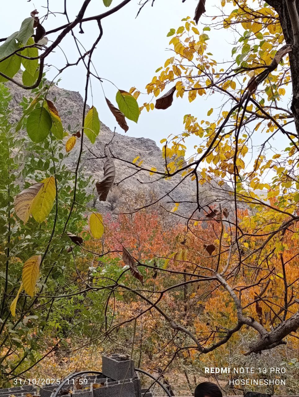 طبیعت پاییزی زشک مشهد